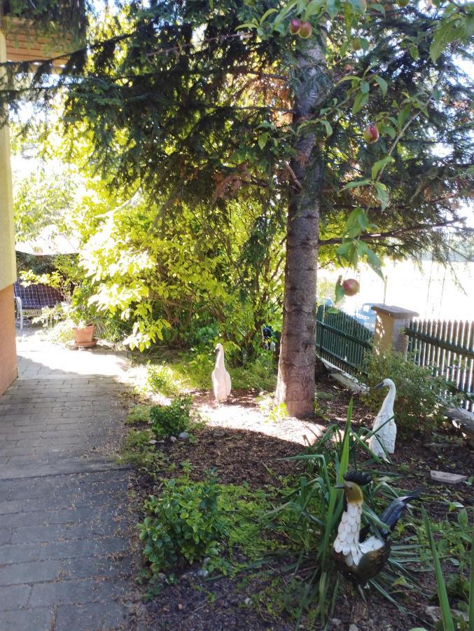 B&B Family Basement Apartment, Breakfast, Free Parking, 5Km From Tulln Chorherrn Exterior photo