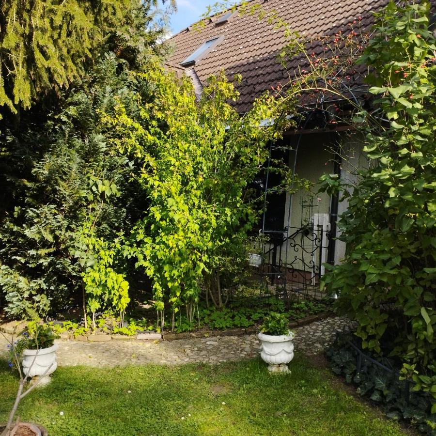 B&B Family Basement Apartment, Breakfast, Free Parking, 5Km From Tulln Chorherrn Exterior photo